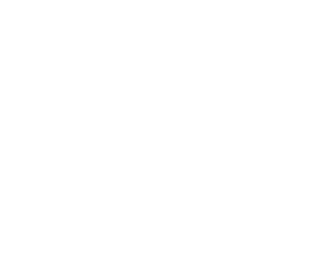 HOLY